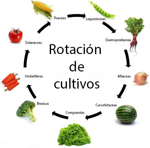 rotacion cultivos