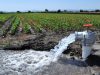 Factores que afectan la calidad de aguas de uso agrícola