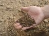 Servicio de interpretación de análisis de suelo y plan de fertilización
