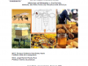 Manual de practicas de produccion apicola