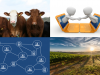 Agricultura, Blockchain y Smart Contract