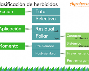 Clasificacion de los herbicidas