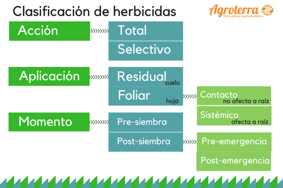 Clasificacion de los herbicidas