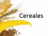 Cerealicultura de calidad, sustentable y reconocida
