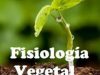 Relaciones entre fotosintesis y cosecha