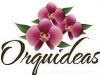Floracion en Orquideas