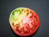 Factores nutricionales que influyen en la presencia del payaseado del tomate