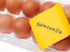 Lucha contra la Salmonelosis: Bioseguridad