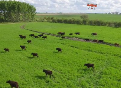 Para que usar drones en ganaderia
