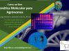 Curso on-line gratuito Genética Molecular para Agrónomos