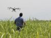 Imágenes satelitales, drones y Apps en la transformación digital de la agricultura