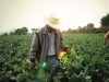 Las Limitaciones del Desarrollo Rural y la Construcción de Resiliencia frente al Cambio Climático como Bien Público: Un Enfoque desde la Economía Neoinstitucional